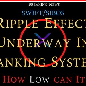 Ripple/XRP-Ripple Partner News,SWIFT/SIBOS-Ripple Effect In Banking System Underway,XRP $$$