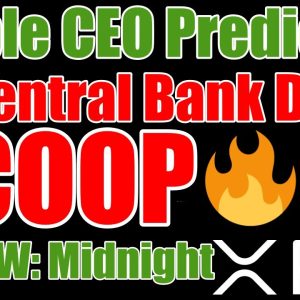 Ripple CEO: XRP , CBDCs , China , 1 Year Predictions & Regulation