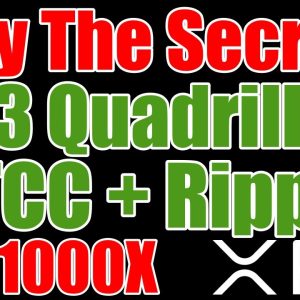 XRP Perpetual Futures Secret & Ripple / Digital Euro / DTCC