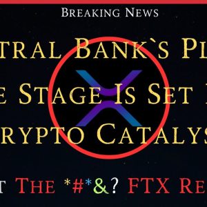 Ripple/XRP-FTX Restart?,The Stage Is Set For Crypto Catalyst,Spot ETFs,What Are Central Banks Doing?