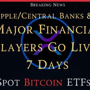 Ripple/XRP-The World`s Biggest Financial Players Go Live 7 Days, XRP/Ripple/Central Banks & NDAs