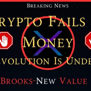 Ripple/XRP-ECB-Evolution Is Underway,Crypto Fails As Money,Brian Brooks-New Value System