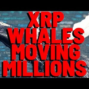 XRP Price UP, Whales BUY MORE, Market Gets HOT TONIGHT