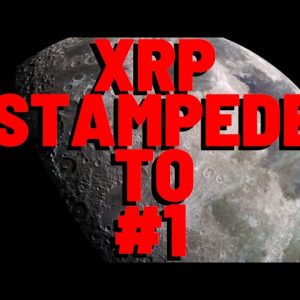 XRP STAMPEDE TO #1