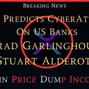 Ripple/XRP-WEF Predict CyberAttack, Bitcoin Decline Incoming?,Brad Garlinghouse/Stuart Alderoty
