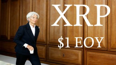 ⚠️????*THE IMF & CENTRAL BANKS JUST CONFIRMED RIPPLE/XRP & XRP WILL BE $1 BY EOY*????⚠️
