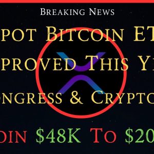 Ripple/XRP-Update Congress & Crypto, Spot Bitcoin ETF Approved This Year?, Bitcoin $48k to $200K?