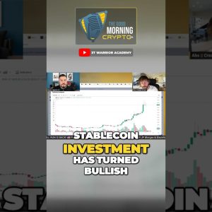 Stablecoin Investment Surges #crypto #shorts