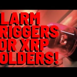 "VAGUE RESPONSE" About XRP Adoption By Ripple President TRIGGERS ALARM FROM XRP HOLDERS