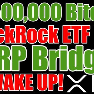 Bitcoin $1,500,000 & The Final Jump: Ripple / XRP The Bridge