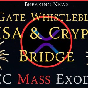 Ripple/XRP-SEC Mass Exodus, VISA & Crypto Birdge, ETHGate Whistleblower, Ripple-Tragic Or Blessing?