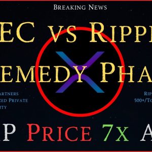 Ripple/XRP-SEC vs Ripple Remedy Phase,Ripple Partners 500+/Tokenized Private Equity,BTC/ETFs Record