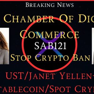 Ripple/XRP- Exclusive Interview With Perianne Boring-The Digital Chamber Of Commerce, UST/Yellen
