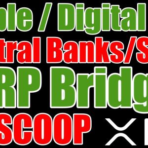XRP Walled Garden Bridge & Ripple SVP On Central Bank Meetings/Swift